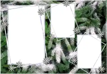 Fotoeffekt fra kategori Vinter № 64393