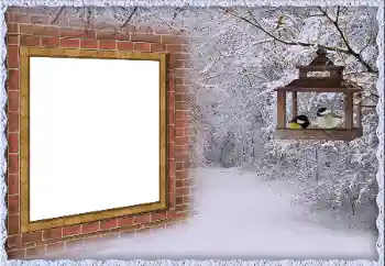 Fotoeffekt fra kategori Vinter № 65557