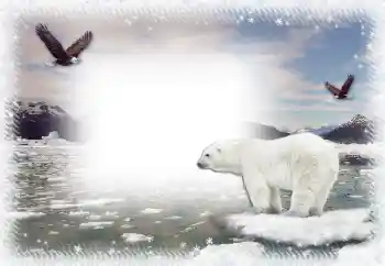 Fotoeffekt fra kategori Vinter № 67044