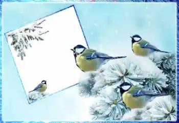 Fotoeffekt fra kategori Vinter № 87962