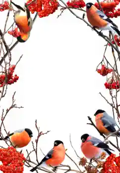 Fotoeffekt fra kategori Vinter № 90578