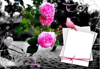 Fotoeffekt fra kategori Bryllup rammer № 12847