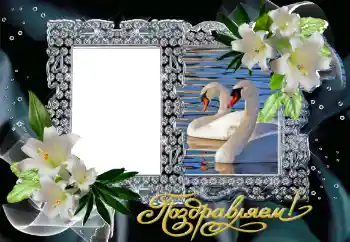 Fotoeffekt fra kategori Bryllup rammer № 130161. Innskriften på rammen: Gratulerer! Fotoeffekt fra kategori Bryllup rammer № 130161. Innskriften på rammen: Gratulerer!
