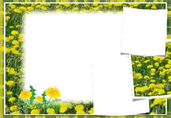 Fotoeffekt fra kategori Kvinnelige fotorammer № 103949 Fotoeffekt fra kategori Kvinnelige fotorammer № 103949