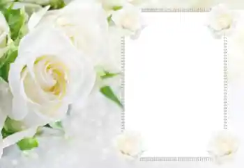 Fotoeffekt fra kategori Kvinnelige fotorammer № 112529