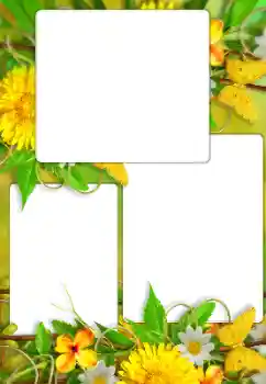 Fotoeffekt fra kategori Kvinnelige fotorammer № 114738
