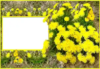 Fotoeffekt fra kategori Kvinnelige fotorammer № 116202