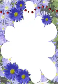 Fotoeffekt fra kategori Kvinnelige fotorammer № 117528