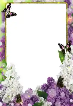 Fotoeffekt fra kategori Kvinnelige fotorammer № 123231
