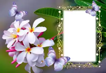 Fotoeffekt fra kategori Kvinnelige fotorammer № 123254