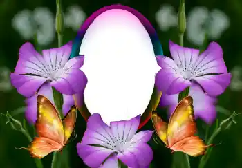 Fotoeffekt fra kategori Kvinnelige fotorammer № 126946