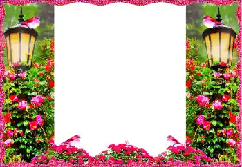 Fotoeffekt fra kategori Kvinnelige fotorammer № 127058