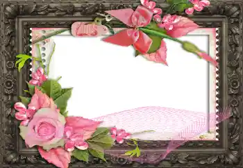 Fotoeffekt fra kategori Kvinnelige fotorammer № 130791