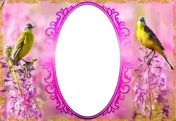 Fotoeffekt fra kategori Kvinnelige fotorammer № 132879