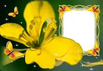 Fotoeffekt fra kategori Kvinnelige fotorammer № 132883
