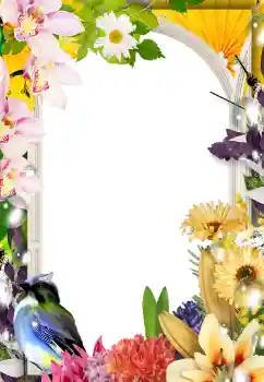 Fotoeffekt fra kategori Kvinnelige fotorammer № 133075