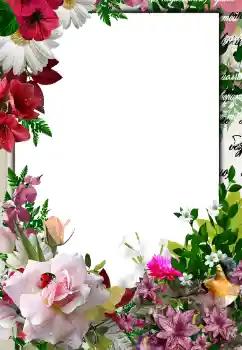 Fotoeffekt fra kategori Kvinnelige fotorammer № 133076