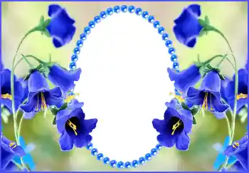 Fotoeffekt fra kategori Kvinnelige fotorammer № 143516