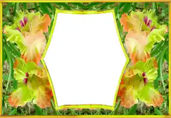 Fotoeffekt fra kategori Kvinnelige fotorammer № 143517