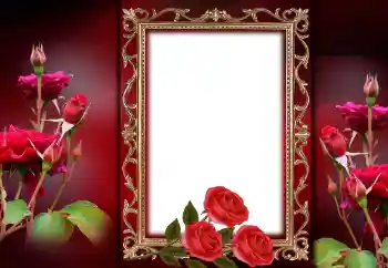 Fotoeffekt fra kategori Kvinnelige fotorammer № 143757 Fotoeffekt fra kategori Kvinnelige fotorammer № 143757