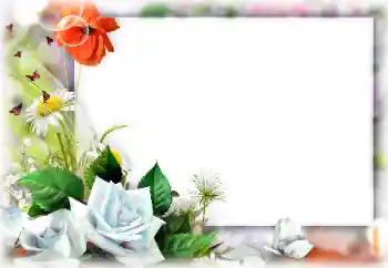 Fotoeffekt fra kategori Kvinnelige fotorammer № 147740
