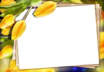 Fotoeffekt fra kategori Kvinnelige fotorammer № 147770