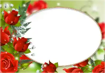 Fotoeffekt fra kategori Kvinnelige fotorammer № 148994