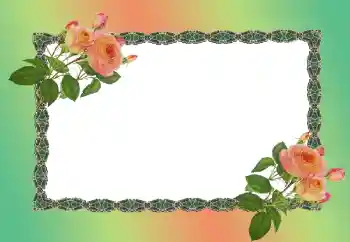 Fotoeffekt fra kategori Kvinnelige fotorammer № 149186