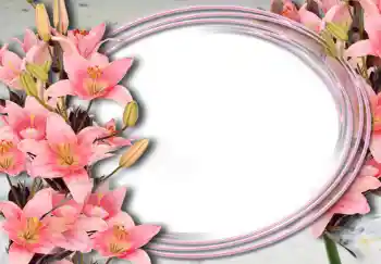Fotoeffekt fra kategori Kvinnelige fotorammer № 15032