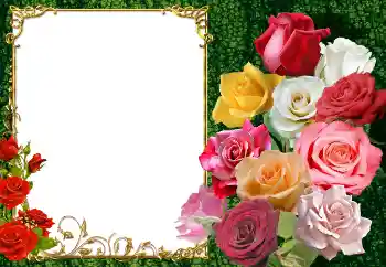 Fotoeffekt fra kategori Kvinnelige fotorammer № 154447