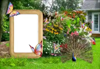 Fotoeffekt fra kategori Kvinnelige fotorammer № 155936