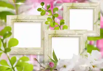 Fotoeffekt fra kategori Kvinnelige fotorammer № 155999