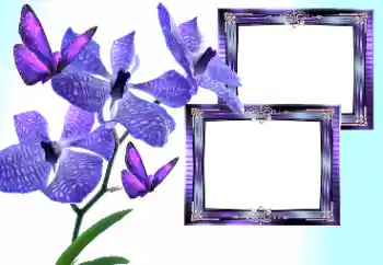 Fotoeffekt fra kategori Kvinnelige fotorammer № 157133 Fotoeffekt fra kategori Kvinnelige fotorammer № 157133