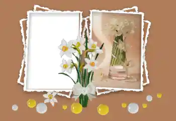 Fotoeffekt fra kategori Kvinnelige fotorammer № 158348