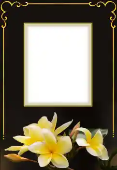Fotoeffekt fra kategori Kvinnelige fotorammer № 158432