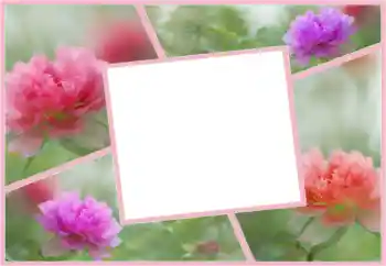Fotoeffekt fra kategori Kvinnelige fotorammer № 160554