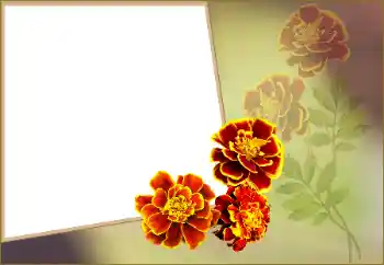 Fotoeffekt fra kategori Kvinnelige fotorammer № 160560
