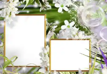 Fotoeffekt fra kategori Kvinnelige fotorammer № 160610