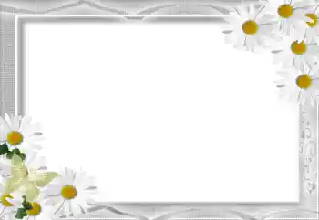Fotoeffekt fra kategori Kvinnelige fotorammer № 16071 Fotoeffekt fra kategori Kvinnelige fotorammer № 16071