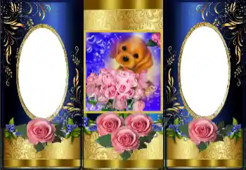 Fotoeffekt fra kategori Kvinnelige fotorammer № 162106