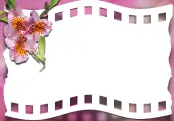 Fotoeffekt fra kategori Kvinnelige fotorammer № 163337