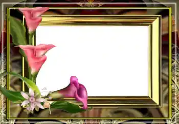 Fotoeffekt fra kategori Kvinnelige fotorammer № 163528