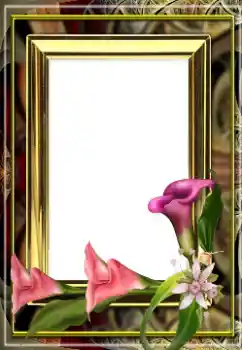 Fotoeffekt fra kategori Kvinnelige fotorammer № 163529