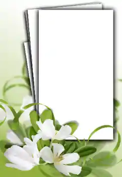 Fotoeffekt fra kategori Kvinnelige fotorammer № 163548