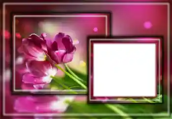 Fotoeffekt fra kategori Kvinnelige fotorammer № 164601