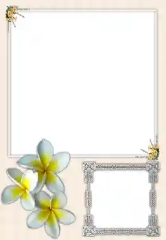 Fotoeffekt fra kategori Kvinnelige fotorammer № 164699