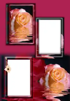 Fotoeffekt fra kategori Kvinnelige fotorammer № 164787