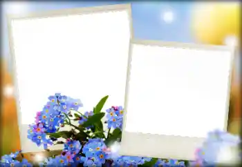 Fotoeffekt fra kategori Kvinnelige fotorammer № 166068