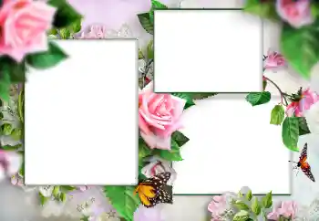 Fotoeffekt fra kategori Kvinnelige fotorammer № 166108