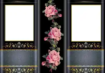 Fotoeffekt fra kategori Kvinnelige fotorammer № 169323 Fotoeffekt fra kategori Kvinnelige fotorammer № 169323